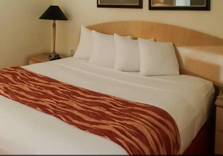 Rodeway Inn South Miami - Coral Gables Ngoại thất bức ảnh
